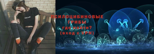 амф Осинники