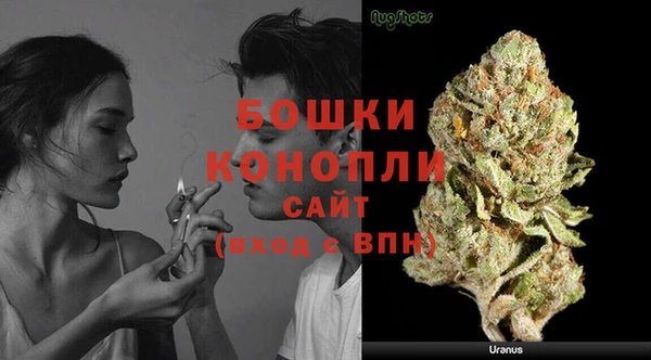 стаф Осташков