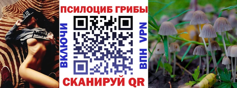 Галлюциногенные грибы мицелий  omg рабочий сайт  Игра 
